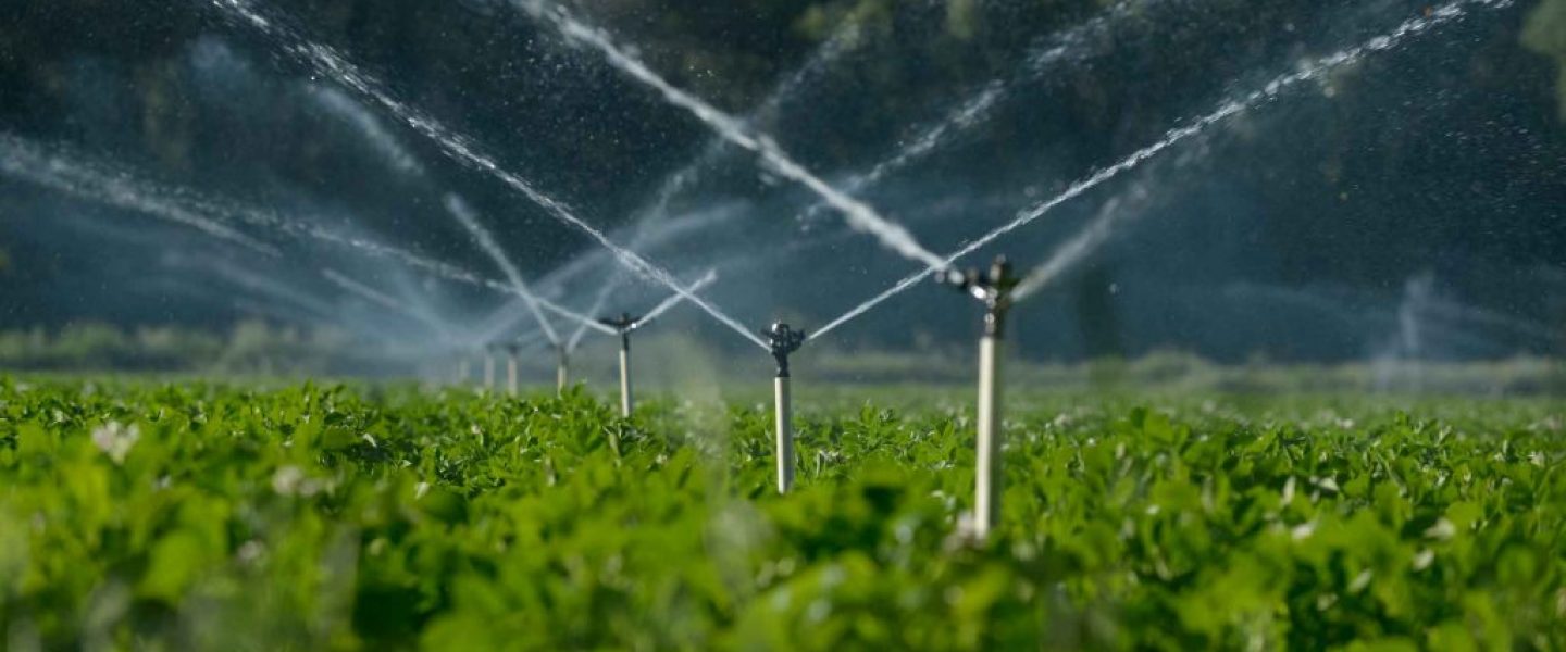 آبیاری قطره ای هوشمند در اصفهان